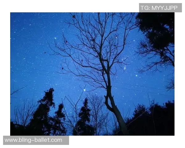 平静的圣诞夜没有惊喜与喧嚣让人感受到宁静的节日氛围